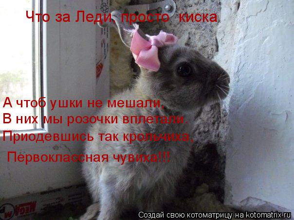 Котоматрица: А чтоб ушки не мешали, В них мы розочки вплетали. Приодевшись так крольчиха, Первоклассная чувиха!!! Что за Леди, просто «киска»