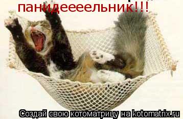 Котоматрица: панидеееельник!!!