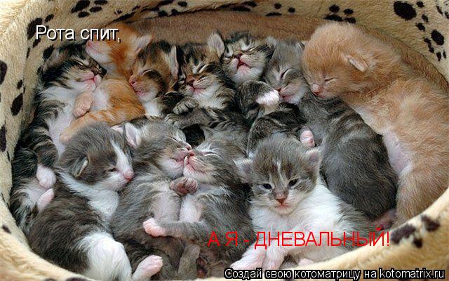 Котоматрица: Рота спит, А Я - ДНЕВАЛЬНЫЙ!