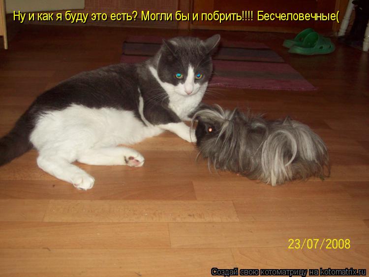 Котоматрица: Ну и как я буду это есть? Могли бы и побрить!!!! Бесчеловечные(
