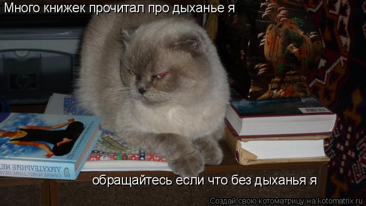 Котоматрица: Много книжек прочитал про дыханье я  Много книжек прочитал про дыханье я  обращайтесь если что без дыханья я