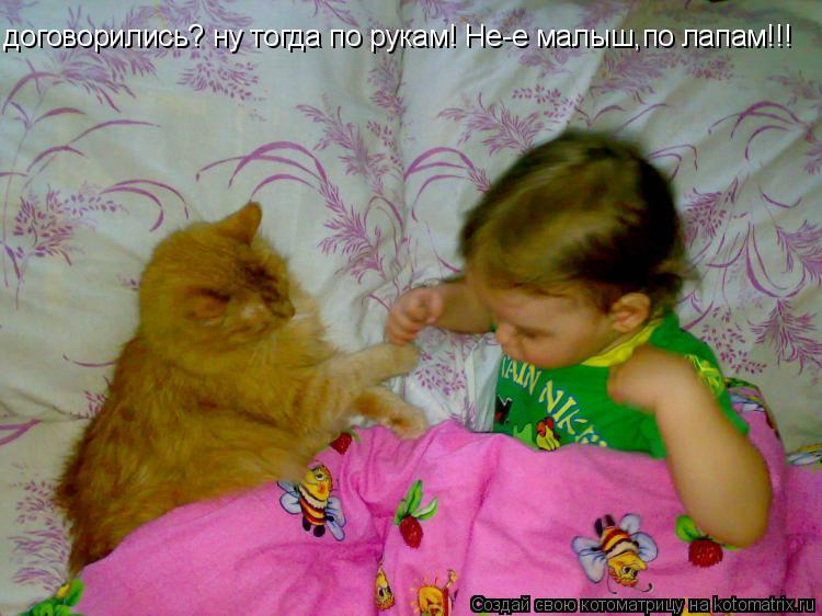 Котоматрица: договорились? ну тогда по рукам! Не-е малыш,по лапам!!!
