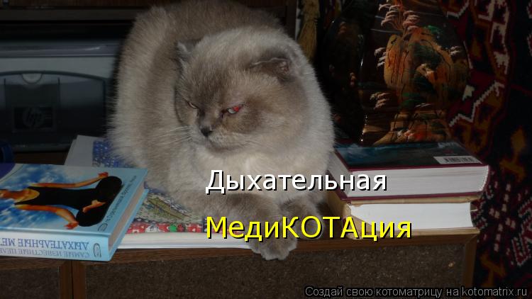 Котоматрица: Дыхательная МедиКОТАция