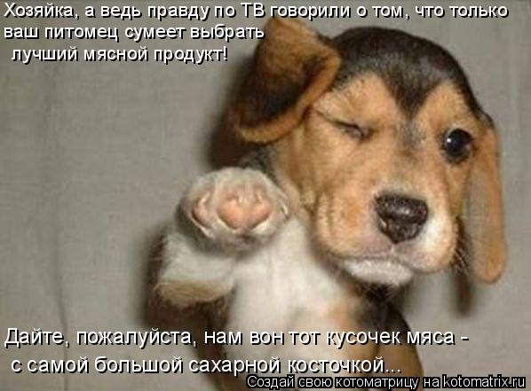 Хозяйка, а ведь правду по ТВ говорили о том, что только ваш питомец сумеет выбрать лучший мясной про... Котоматрица: Хозяйка, а ведь правду по ТВ говорили о том, что только ваш питомец сумеет выбрать лучший мясной продукт! Дайте, пожалуйста, нам вон тот кусо