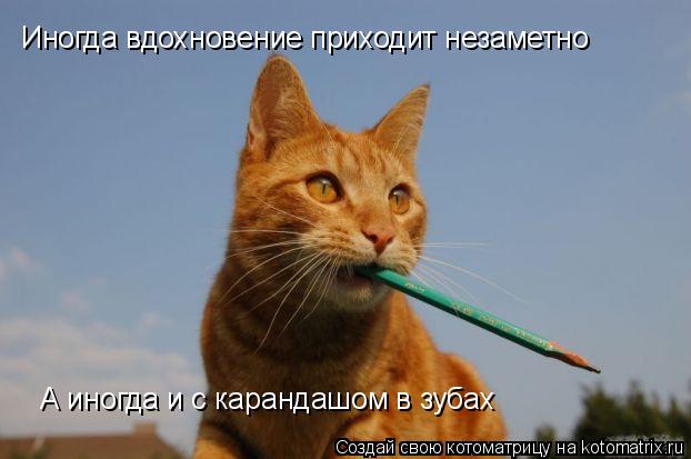 Иногда вдохновение приходит незаметно А иногда и с карандашом в зубах... Котоматрица: Иногда вдохновение приходит незаметно А иногда и с карандашом в зубах