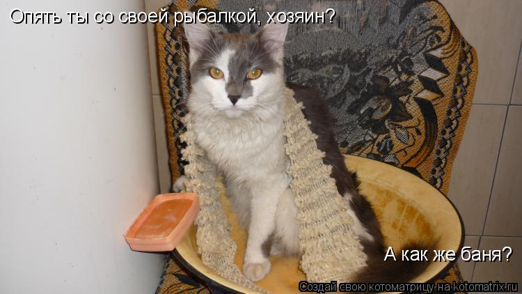 Опять ты со своей рыбалкой, хозяин? А как же баня? А как же баня?... Котоматрица: Опять ты со своей рыбалкой, хозяин? А как же баня? А как же баня?