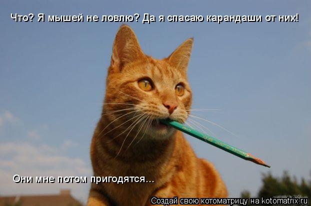 Что? Я мышей не ловлю? Да я спасаю карандаши от них! Они мне потом пригодятся...... Котоматрица: Что? Я мышей не ловлю? Да я спасаю карандаши от них! Они мне потом пригодятся...