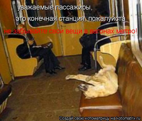 уважаемые пассажиры, это конечная станция, пожалуйста не забывайте свои вещи в вагонах метро!... Котоматрица: уважаемые пассажиры, это конечная станция, пожалуйста не забывайте свои вещи в вагонах метро!