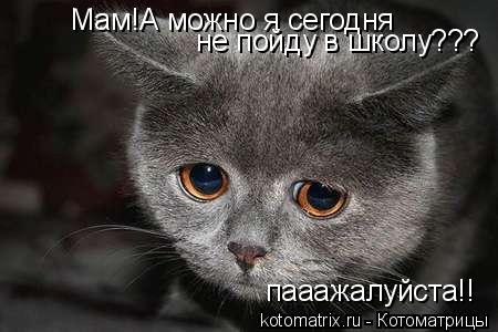 Мам!А можно я сегодня не пойду в школу??? пааажалуйста!!... Котоматрица: Мам!А можно я сегодня не пойду в школу??? пааажалуйста!!