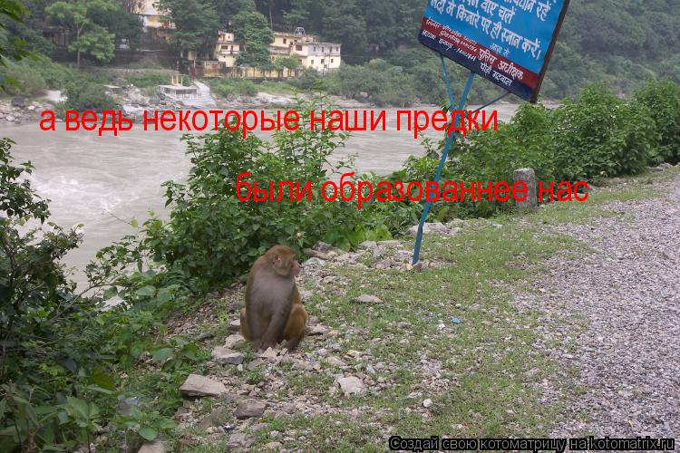 а ведь некоторые наши предки были образованнее нас... Котоматрица: а ведь некоторые наши предки были образованнее нас