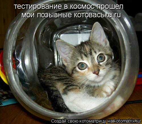 тестирование в космос прошел мои позывные котоваська.ru... Котоматрица: тестирование в космос прошел мои позывные котоваська.ru