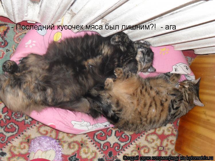 - Последний кусочек мяса был лишним?! - ага... Котоматрица: - Последний кусочек мяса был лишним?! - ага