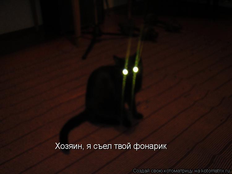 Хозяин, я съел твой фонарик... Котоматрица: Хозяин, я съел твой фонарик