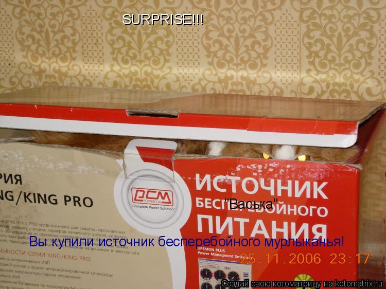 SURPRISE!!! Вы купили источник бесперебойного мурлыканья! "Васька"... Котоматрица: SURPRISE!!! Вы купили источник бесперебойного мурлыканья! "Васька"