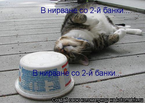 В нирване со 2-й банки... В нирване со 2-й банки...... Котоматрица: В нирване со 2-й банки... В нирване со 2-й банки...