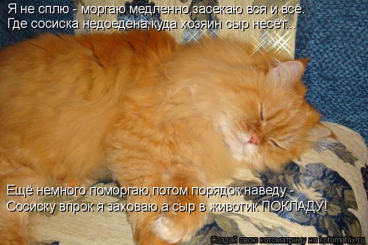 Я не сплю - моргаю медленно,засекаю вся и всё. Где сосиска недоедена,куда хозяин сыр несёт... Ещё нем... Котоматрица: Я не сплю - моргаю медленно,засекаю вся и всё. Где сосиска недоедена,куда хозяин сыр несёт... Ещё немного поморгаю,потом порядок наведу - Соси