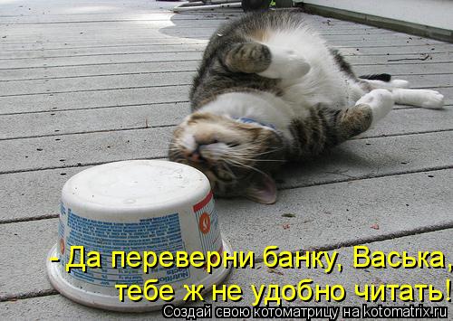 Котоматрица: - Да переверни банку, Васька, тебе ж не удобно читать!