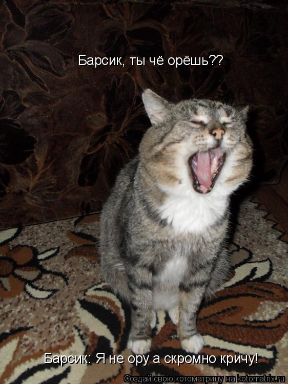 Барсик, ты чё орёшь?? Барсик: Я не ору а скромно кричу!... Котоматрица: Барсик, ты чё орёшь?? Барсик: Я не ору а скромно кричу!
