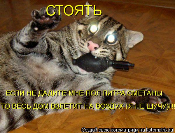 СТОЯТЬ ЕСЛИ НЕ ДАДИТЕ МНЕ ПОЛ ЛИТРА СМЕТАНЫ ТО ВЕСЬ ДОМ ВЗЛЕТИТ НА ВОЗДУХ (Я НЕ ШУЧУ)!!!... Котоматрица: СТОЯТЬ ЕСЛИ НЕ ДАДИТЕ МНЕ ПОЛ ЛИТРА СМЕТАНЫ ТО ВЕСЬ ДОМ ВЗЛЕТИТ НА ВОЗДУХ (Я НЕ ШУЧУ)!!!