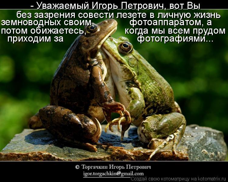 - Уважаемый Игорь Петрович, вот Вы без зазрения совести лезете в личную жизнь земноводных своим ... Котоматрица: - Уважаемый Игорь Петрович, вот Вы без зазрения совести лезете в личную жизнь земноводных своим фотоаппаратом, а потом обижаетесь,