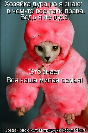 Хозяйка дура,но я знаю: в чем-то все-таки права. Ведь я не дура. Это знает Вся наша милая семья!... Котоматрица: Хозяйка дура,но я знаю: в чем-то все-таки права. Ведь я не дура. Это знает Вся наша милая семья!