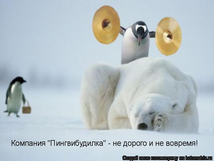 Компания "Пингвибудилка" - не дорого и не вовремя!... Котоматрица: Компания "Пингвибудилка" - не дорого и не вовремя!