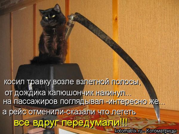 Котоматрица: косил травку возле взлетной полосы, от дождика капюшончик накинул...  а рейс отменили-сказали что лететь все вдруг передумали!!! на пассажиро