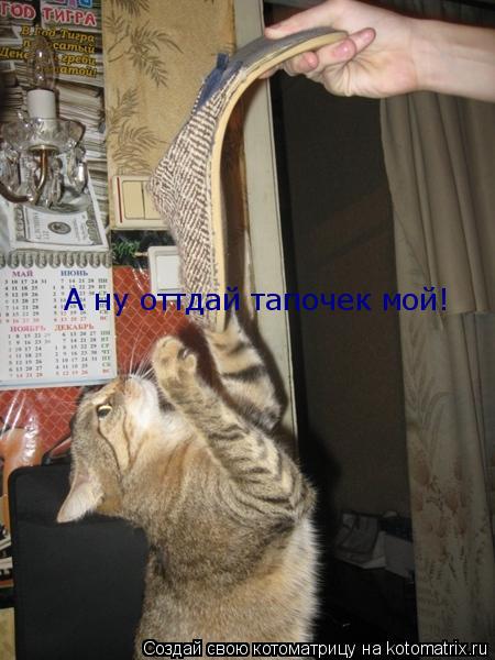 А ну оттдай тапочек мой!... Котоматрица: А ну оттдай тапочек мой!