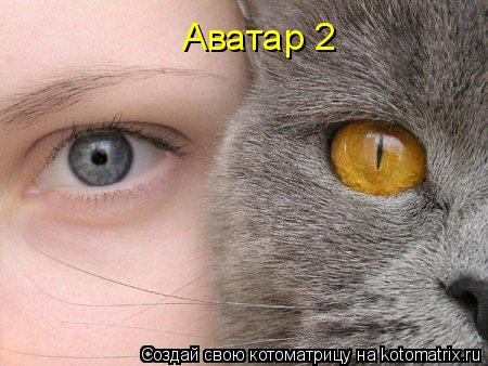 Аватар 2... Котоматрица: Аватар 2