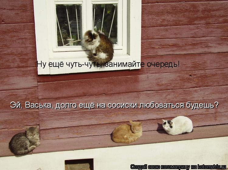Эй, Васька, долго ещё на сосиски любоваться будешь? Ну ещё чуть-чуть, занимайте очередь!... Котоматрица: Эй, Васька, долго ещё на сосиски любоваться будешь? Ну ещё чуть-чуть, занимайте очередь!