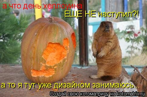 а что день хеллоуина ЕЩЕ НЕ наступил?! а то я тут уже дизайном занимаюсь...... Котоматрица: а что день хеллоуина ЕЩЕ НЕ наступил?! а то я тут уже дизайном занимаюсь...