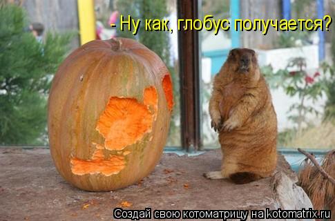 - Ну как, глобус получается?... Котоматрица: - Ну как, глобус получается?