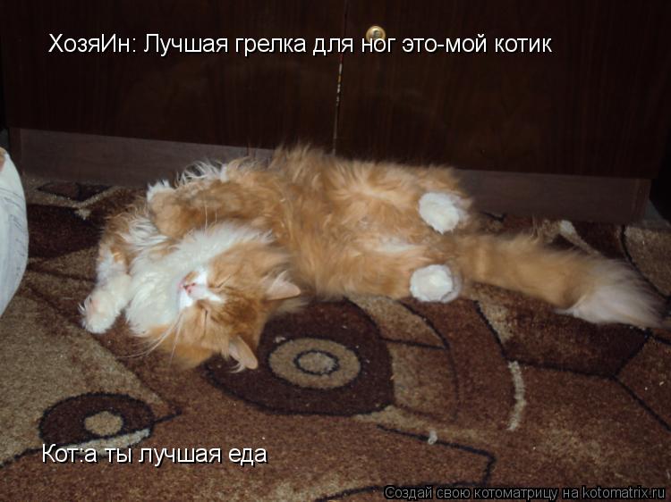ХозяИн: Лучшая грелка для ног это-мой котик Кот:а ты лучшая еда... Котоматрица: ХозяИн: Лучшая грелка для ног это-мой котик Кот:а ты лучшая еда