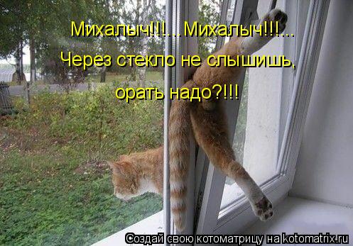 Михалыч!!!...Михалыч!!!... Через стекло не слышишь, орать надо?!!!... Котоматрица: Михалыч!!!...Михалыч!!!... Через стекло не слышишь, орать надо?!!!