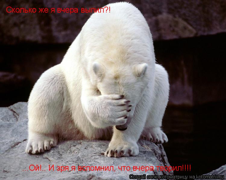Сколько же я вчера выпил?! ...Ой!.. И зря я вспомнил, что вчера творил!!!!... Котоматрица: Сколько же я вчера выпил?! ...Ой!.. И зря я вспомнил, что вчера творил!!!!