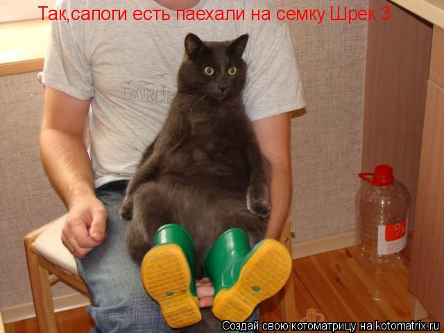 Так,сапоги есть паехали на семку Шрек 3... Котоматрица: Так,сапоги есть паехали на семку Шрек 3