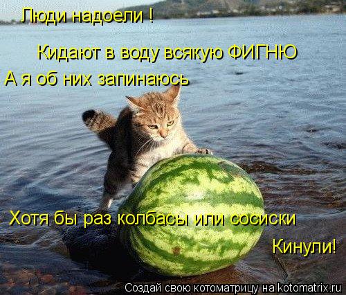 Люди надоели ! Кидают в воду всякую ФИГНЮ А я об них запинаюсь Хотя бы раз колбасы или сосиски Кинул... Котоматрица: Люди надоели ! Кидают в воду всякую ФИГНЮ А я об них запинаюсь Хотя бы раз колбасы или сосиски Кинули!