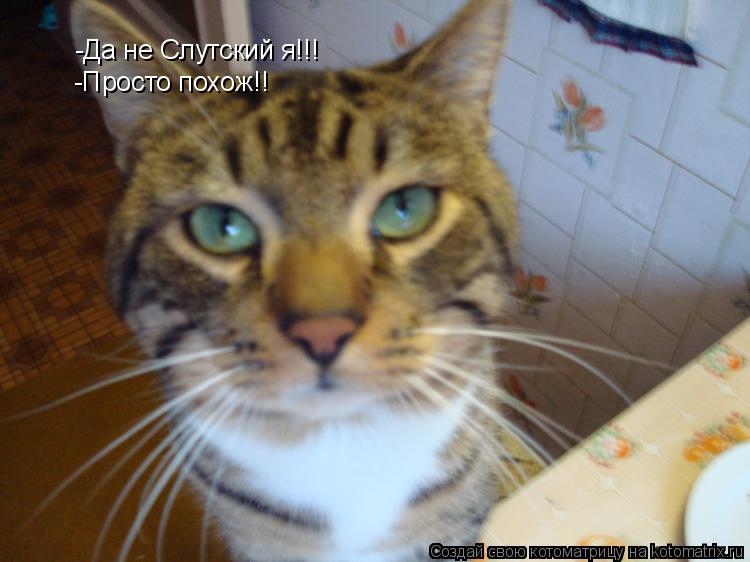 -Да не Слутский я!!! -Просто похож!!... Котоматрица: -Да не Слутский я!!! -Просто похож!!