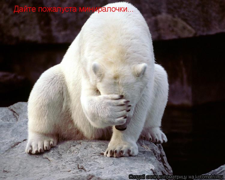 Дайте пожалуста миниралочки...... Котоматрица: Дайте пожалуста миниралочки...
