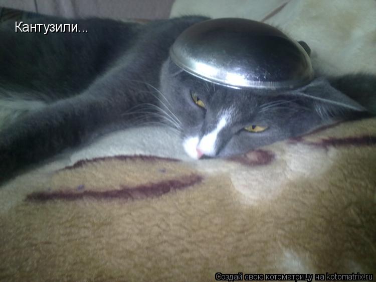 Кантузили...... Котоматрица: Кантузили...