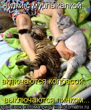 Чулки с мурлыкалкой: включаются колбасой, выключаются пинком...... Котоматрица: Чулки с мурлыкалкой: включаются колбасой, выключаются пинком...