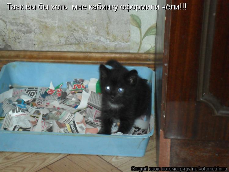Таак вы бы хоть мне кабинку оформили чёли!!! ,... Котоматрица: Таак вы бы хоть мне кабинку оформили чёли!!! ,