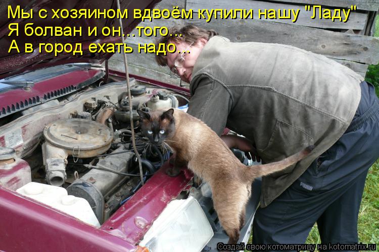 Котоматрица: Мы с хозяином вдвоём купили нашу "Ладу" Я болван и он...того... А в город ехать надо...