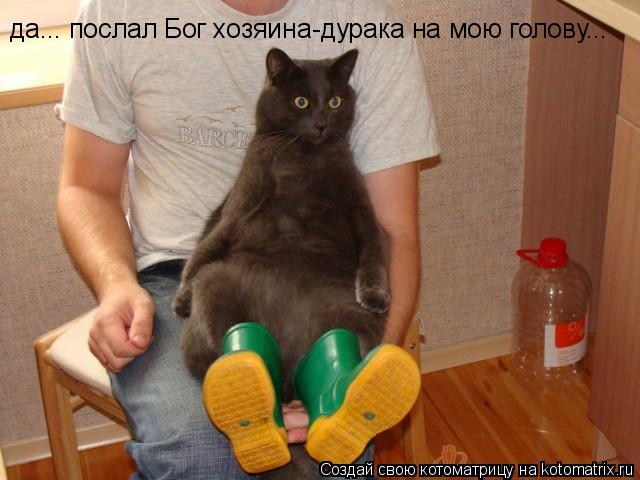 да... послал Бог хозяина-дурака на мою голову...... Котоматрица: да... послал Бог хозяина-дурака на мою голову...