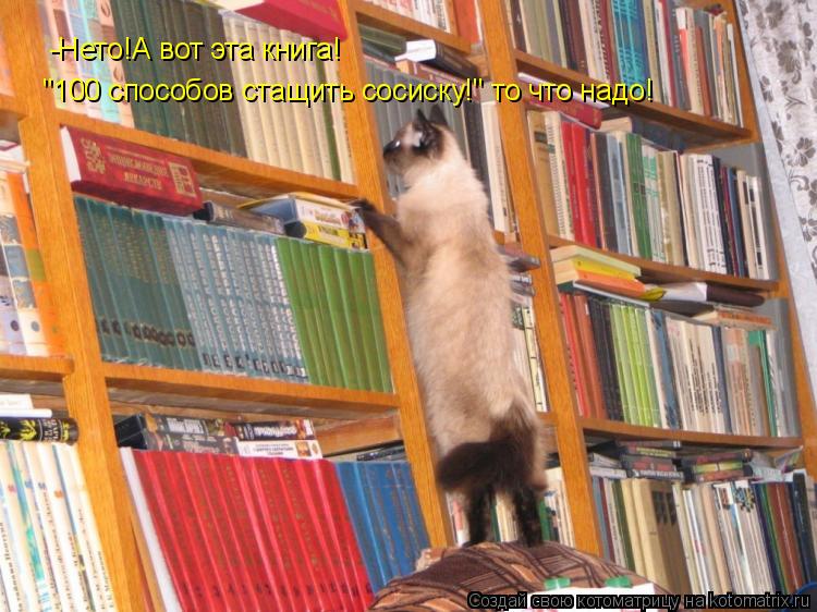 -Где же она?Вот эта книга "100 способов сташить сосиску!"!То что надо! -Нето!А вот эта книга! "100 сп... Котоматрица: -Где же она?Вот эта книга "100 способов сташить сосиску!"!То что надо! -Нето!А вот эта книга! "100 способов стащить сосиску!" то что надо!