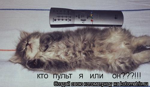кто пульт я или он???!!!... Котоматрица: кто пульт я или он???!!!