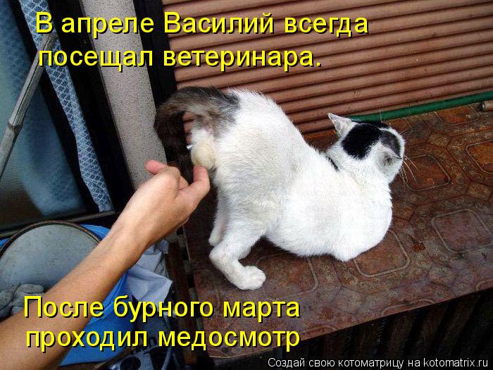 После бурного марта проходил медосмотр В апреле Василий всегда посещал ветеринара.... Котоматрица: После бурного марта проходил медосмотр В апреле Василий всегда посещал ветеринара.