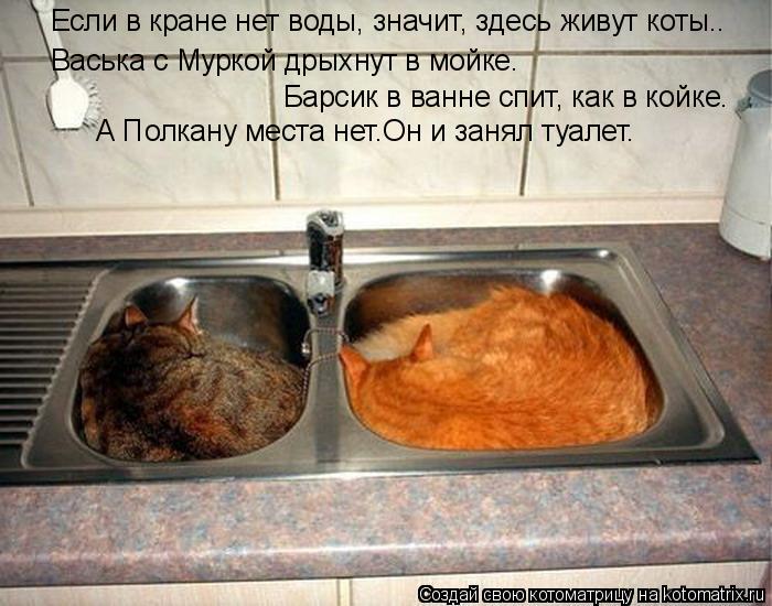 Котоматрица: Если в кране нет воды, значит, здесь живут коты.. Васька с Муркой дрыхнут в мойке… Барсик в ванне спит, как в койке… А Полкану места нет…Он и 