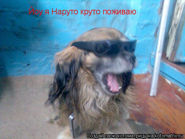Йоу я Наруто круто поживаю... Котоматрица: Йоу я Наруто круто поживаю