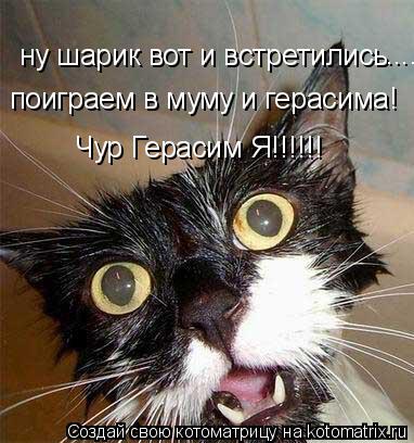 ну шарик вот и встретились ..... поиграем в муму и герасима! Чур Герасим Я!!!!!!... Котоматрица: ну шарик вот и встретились ..... поиграем в муму и герасима! Чур Герасим Я!!!!!!